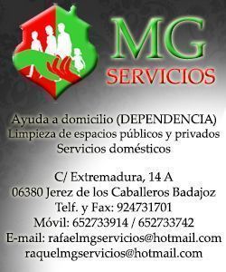 mgservicios Inicio